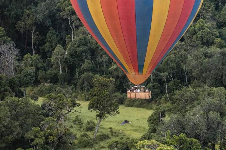 balloon Safari