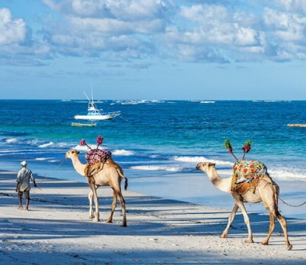 3-Day Malindi and Watamu Beach Excursion