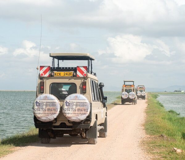 5 Day Lake Nakuru, Naivasha and Masai Mara Tour