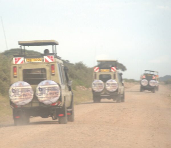 3-Day Tsavo East National Park Tour from Nairobi