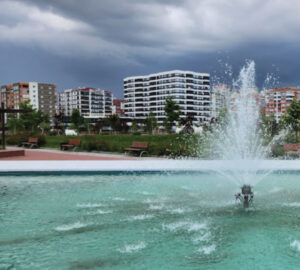 5 Day Bush And Beach Honeymoon Safari