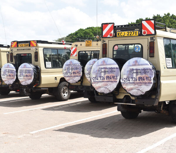 7-Day Lake Manyara, Serengeti, Ngorongoro, Tarangire, Arusha, Materuni Waterfalls Safari