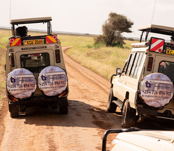 3-Day Samburu Flying Safari Tour