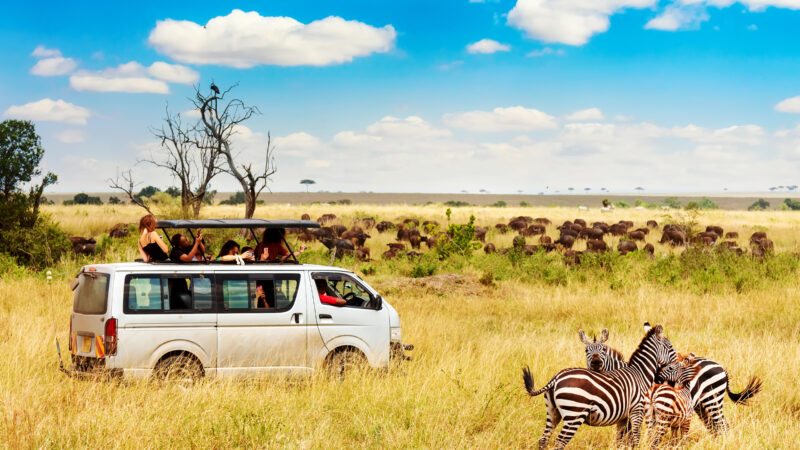 Safari vehicle overlooking the Masai Mara plains